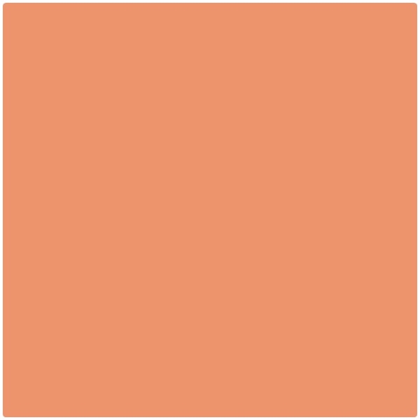 Yarn Dyed Baumwollpopeline orange