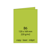 Rössler Paperado Doppelkarte B6 5er Set - Maigrün