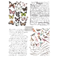 Redesign D&eacute;cor Transfers - Parisian Butterflies