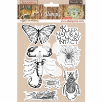 Stamperia Cling Stamp - Amazonia Butterfly