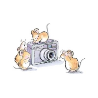 Penny Black Holzstempel SAY CHEESECAKE Mäuse auf Kamera
