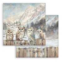 Stamperia Scrapbooking Block 12x12 inch - The Owls House