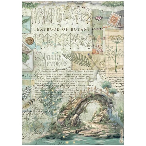 Stamperia Reispapier A4 Herbarium Silvae Bridge