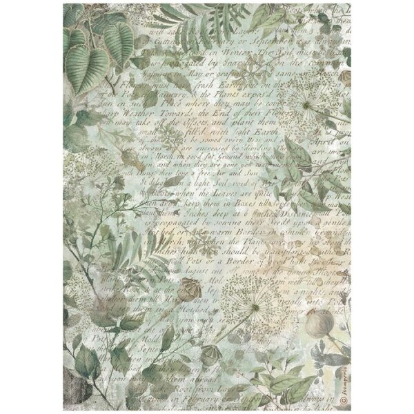 Stamperia Reispapier A4 Herbarium Silvae Leaves Background