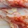 Swafing Oxford Stoff Flowing Bloom Rosé – Sarah Mariam