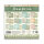 Stamperia Scrapbooking Block 12x12 inch - Daisy Art Backgrounds