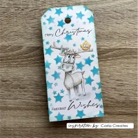 Carla Creates Schablone 15 x 15 cm – Christmas Stars