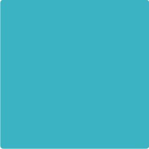 Ripsband Uni 16 mm – Aqua