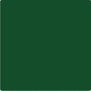 Repsband uni, 16mm breit, dunkelgrün